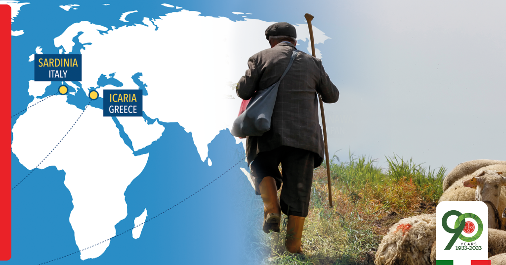 Blue Zones and polyphenols: the distinctive factor of longevity