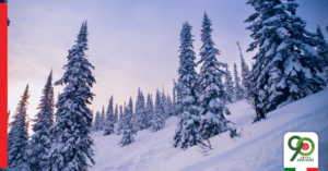 Una meritata pausa per le feste di fine anno