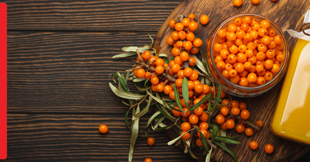 Olivello spinoso: dalla natura un aiuto prezioso per un intestino regolare